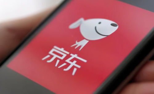 京東關聯企業布局數字科技新領域，動漫動畫設計及數據處理成新增長點